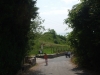 dscf4346_web