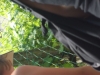 dscf4349_web