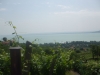 dscf4363_web