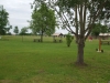 dscf4421_web