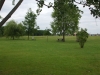 dscf4422_web