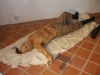 dscf4452_web