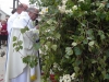 dsc06330_web
