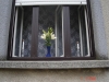 dsc06394_web