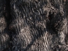 dsc07528